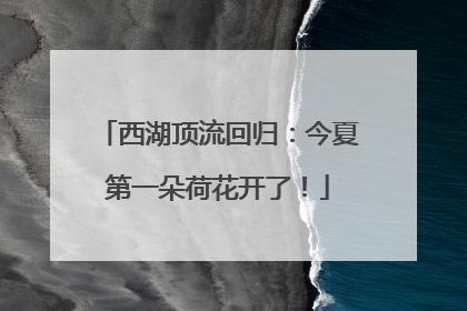 西湖顶流回归：今夏第一朵荷花开了！