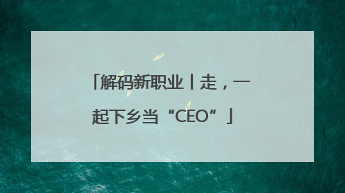 解码新职业丨走，一起下乡当“CEO”