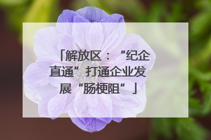解放区：“纪企直通”打通企业发展“肠梗阻”