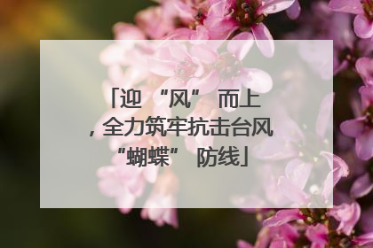 迎 “风” 而上，全力筑牢抗击台风 “蝴蝶” 防线