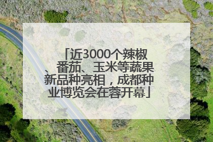 近3000个辣椒、番茄、玉米等蔬果新品种亮相，成都种业博览会在蓉开幕