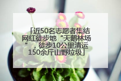 近50名志愿者集结网红徒步地“天鹅林场”，徒步10公里清运150余斤山野垃圾