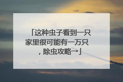 这种虫子看到一只家里很可能有一万只，除虫攻略→