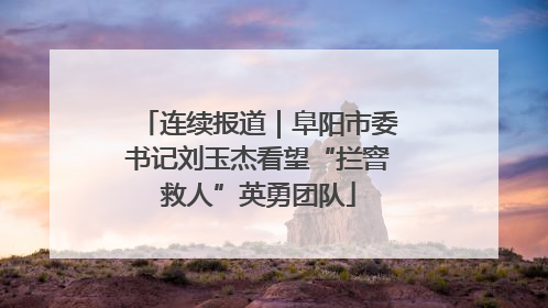 连续报道｜阜阳市委书记刘玉杰看望“拦窨救人”英勇团队