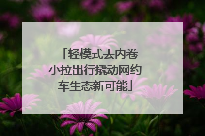 轻模式去内卷 小拉出行撬动网约车生态新可能