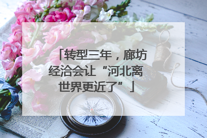 转型三年，廊坊经洽会让“河北离世界更近了”