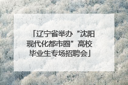 辽宁省举办“沈阳现代化都市圈”高校毕业生专场招聘会