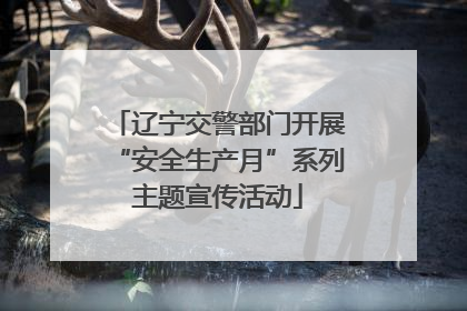 辽宁交警部门开展“安全生产月”系列主题宣传活动