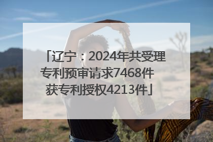 辽宁：2024年共受理专利预审请求7468件 获专利授权4213件