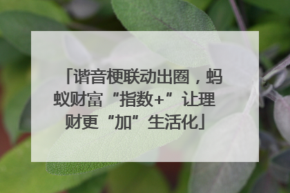 谐音梗联动出圈，蚂蚁财富“指数+”让理财更“加”生活化