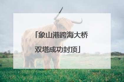 象山港跨海大桥双塔成功封顶
