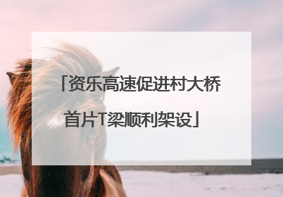资乐高速促进村大桥首片T梁顺利架设