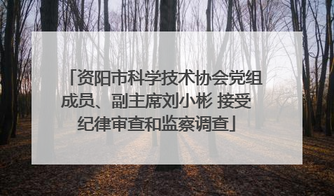 资阳市科学技术协会党组成员、副主席刘小彬 接受纪律审查和监察调查