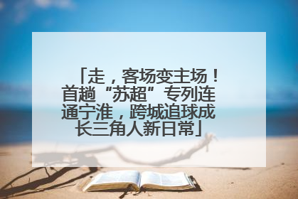 走，客场变主场！首趟“苏超”专列连通宁淮，跨城追球成长三角人新日常