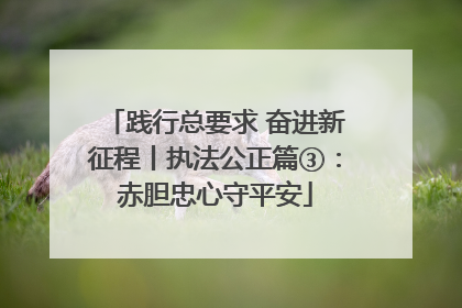 践行总要求 奋进新征程丨执法公正篇③：赤胆忠心守平安