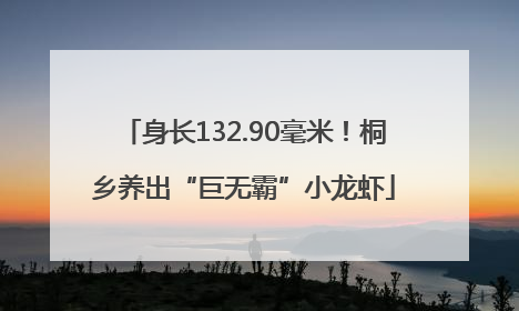 身长132.90毫米！桐乡养出“巨无霸”小龙虾