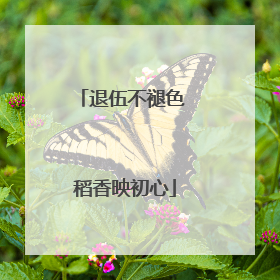 退伍不褪色 稻香映初心