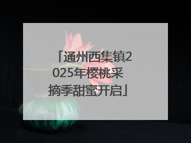 通州西集镇2025年樱桃采摘季甜蜜开启