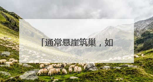 通常悬崖筑巢，如今首钢园安家！还孵出10只萌宝宝