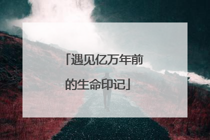 遇见亿万年前的生命印记