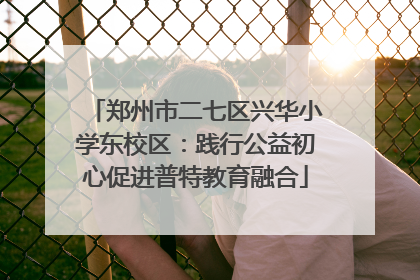 郑州市二七区兴华小学东校区：践行公益初心促进普特教育融合