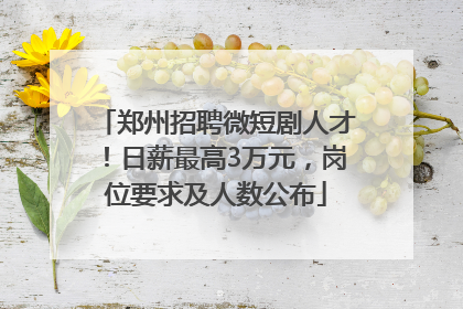 郑州招聘微短剧人才！日薪最高3万元，岗位要求及人数公布