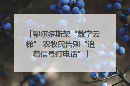 鄂尔多斯架“数字云梯” 农牧民告别“追着信号打电话”