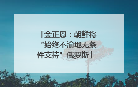 金正恩：朝鲜将“始终不渝地无条件支持”俄罗斯