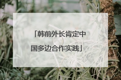 韩前外长肯定中国多边合作实践