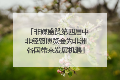 非媒盛赞第四届中非经贸博览会为非洲各国带来发展机遇