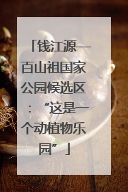 钱江源—百山祖国家公园候选区：“这是一个动植物乐园”