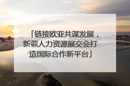 链接欧亚共谋发展，新疆人力资源展交会打造国际合作新平台