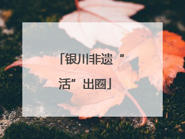 银川非遗“活”出圈