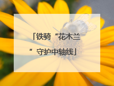 铁骑“花木兰”守护中轴线
