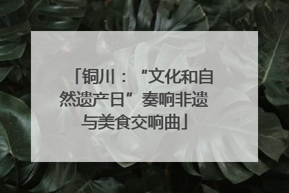 铜川：“文化和自然遗产日”奏响非遗与美食交响曲