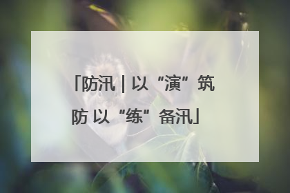 防汛｜以“演”筑防 以“练”备汛