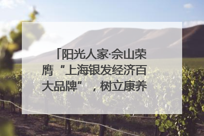 阳光人家·佘山荣膺“上海银发经济百大品牌”，树立康养行业新标杆