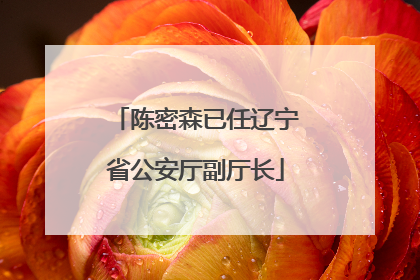 陈密森已任辽宁省公安厅副厅长