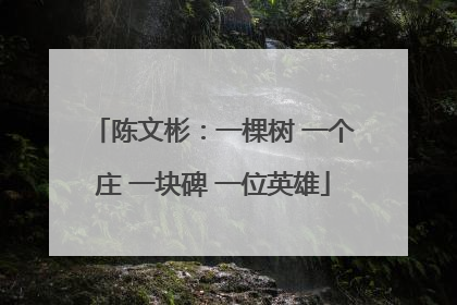 陈文彬：一棵树 一个庄 一块碑 一位英雄