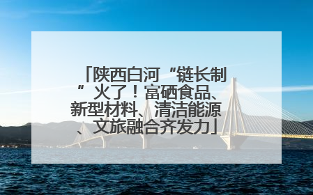 陕西白河“链长制”火了！富硒食品、新型材料、清洁能源、文旅融合齐发力