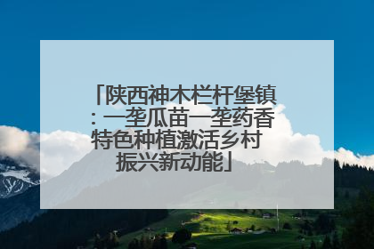 陕西神木栏杆堡镇：一垄瓜苗一垄药香 特色种植激活乡村振兴新动能