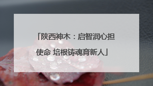 陕西神木：启智润心担使命 培根铸魂育新人
