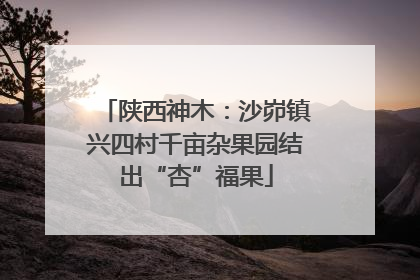陕西神木：沙峁镇兴四村千亩杂果园结出“杏”福果