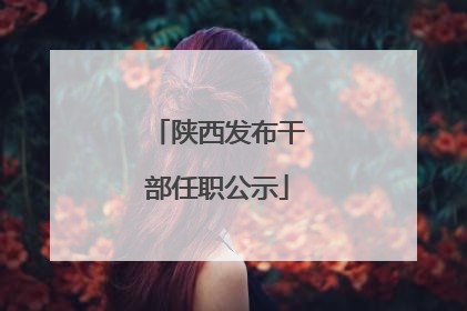 陕西发布干部任职公示