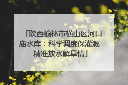 陕西榆林市横山区河口庙水库：科学调度保灌溉 精准放水解旱情