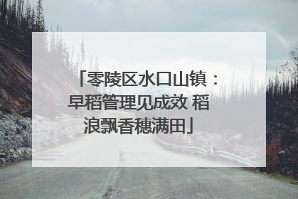 零陵区水口山镇：早稻管理见成效 稻浪飘香穗满田