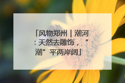 风物郑州｜潮河：天然去雕饰，“潮”平两岸阔