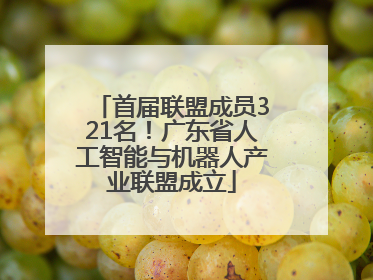 首届联盟成员321名！广东省人工智能与机器人产业联盟成立