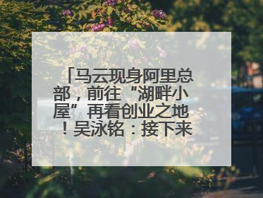 马云现身阿里总部，前往“湖畔小屋”再看创业之地！吴泳铭：接下来将以饱和式投入的打法，聚焦于几大核心战役