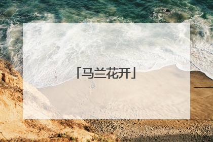 马兰花开